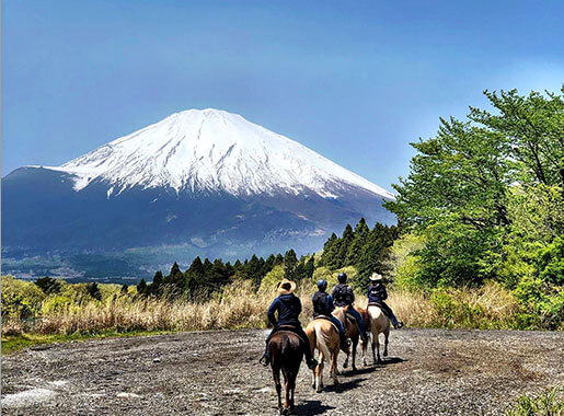 遠眺富士山 騎馬健行之旅