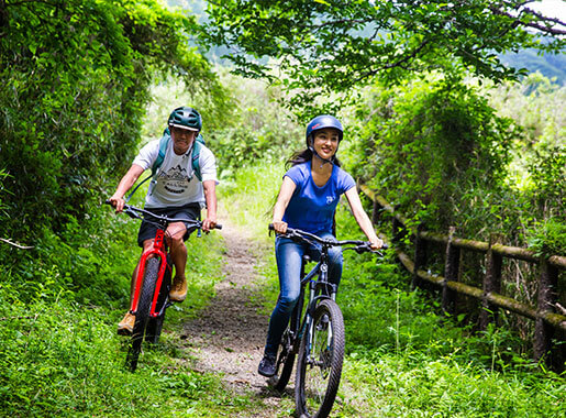 Cycling the Mountains and Forest